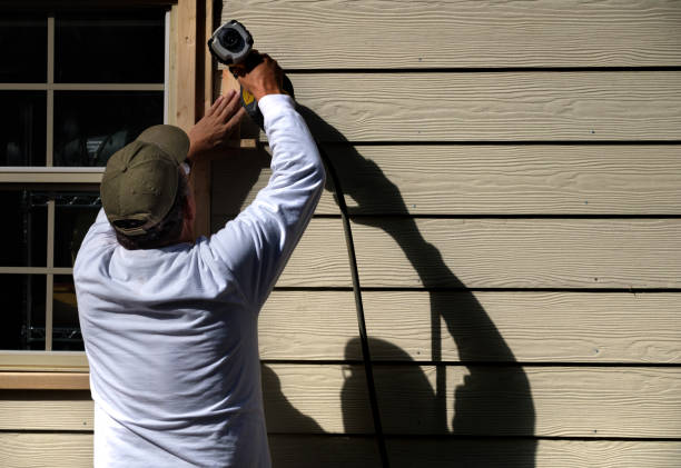 Affordable Siding Repair and Maintenance Services in Appleton, MN